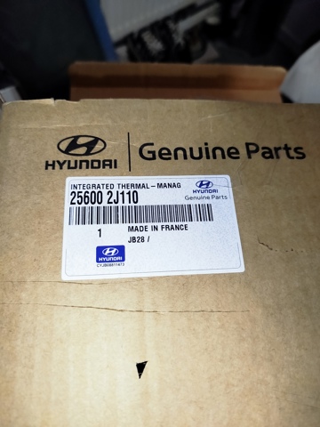  256002J110 Hyundai/Kia