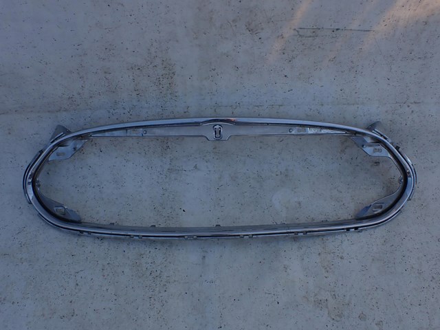 Купить 101741400D Tesla Рамка решетки переднего бампера