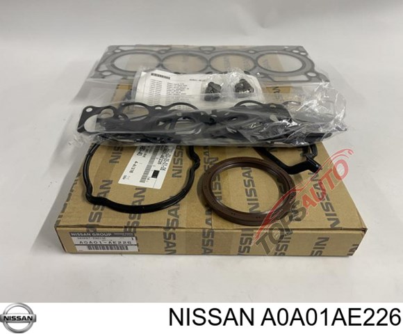 A0A01AE226 Nissan/Infiniti 