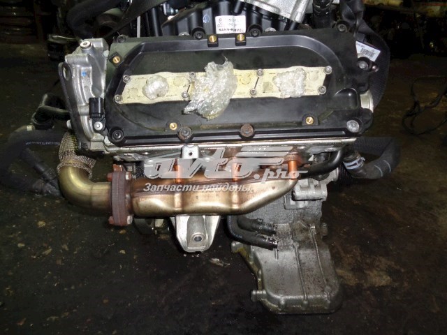 CEX VAG 