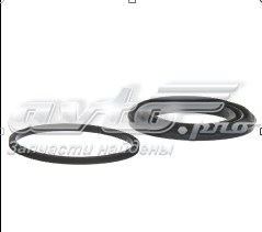 Купить 14363033 Centric Parts Поршень суппорта тормозного переднего