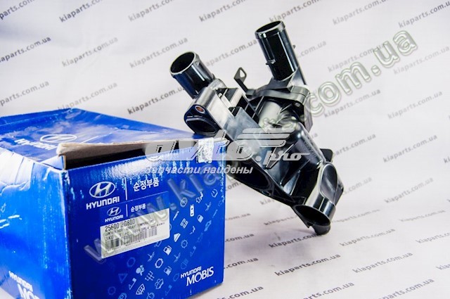  256002G800 Hyundai/Kia