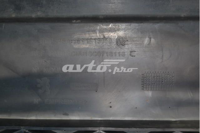9671619080 Peugeot/Citroen 