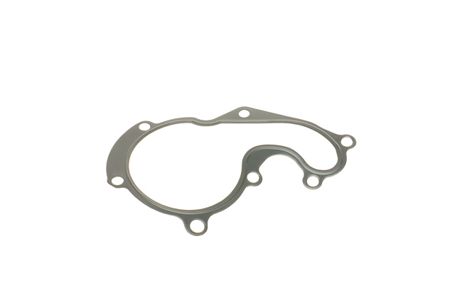 Прокладка помпы DP Group ES81513