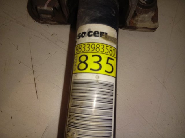 Купить 9833983580 Peugeot/Citroen 