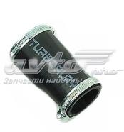 Патрубок интеркулера FS22645 DP Group