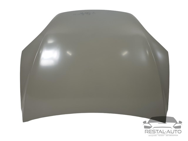 1069531E0B Tesla Капот