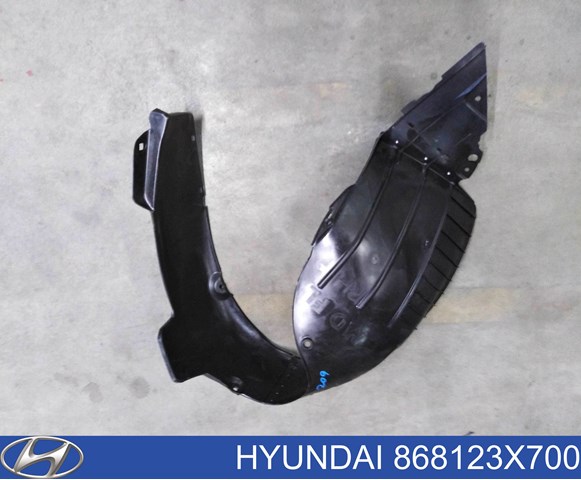 Подкрылок переднего крыла, правый Hyundai/Kia 868123X700