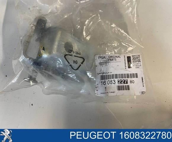 1608322780 Peugeot/Citroen gozno da porta dianteira esquerda