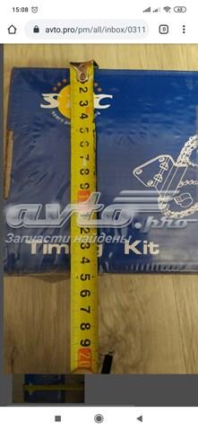 2M5Q6P250AB FORD Cadena distribución, bomba alta presión original y equivalente