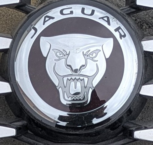  J9C316B856AB Jaguar