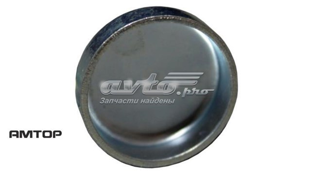 Купить 5000824825 Renault (RVI) 
