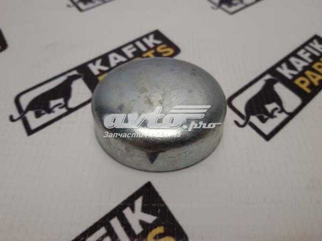 5000824825 Renault (RVI) 