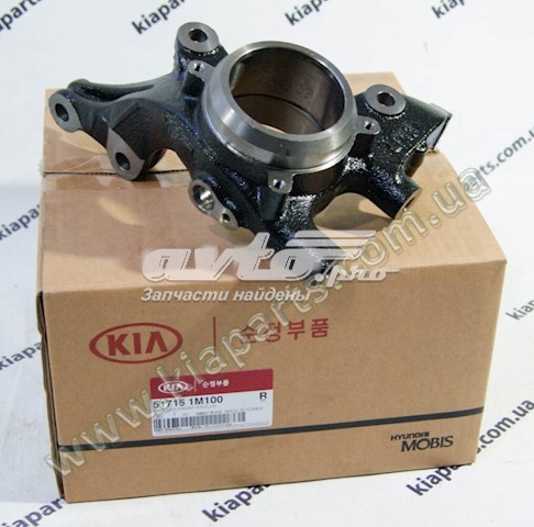 Цапфа (поворотный кулак) передний левый Hyundai/Kia 517151M100 цена, от 38.09 USD