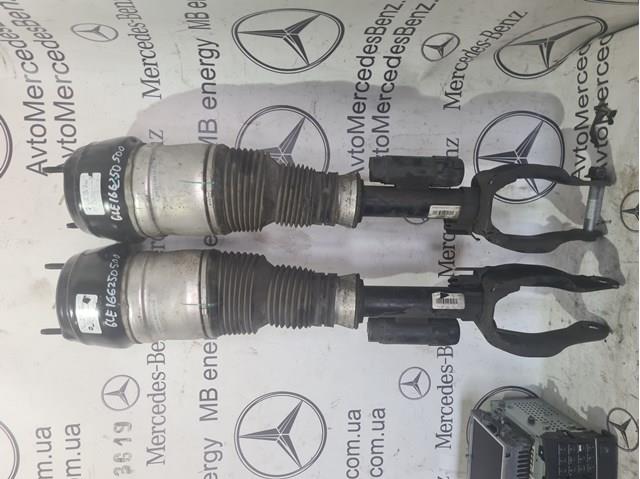 A1663234900 Mercedes 