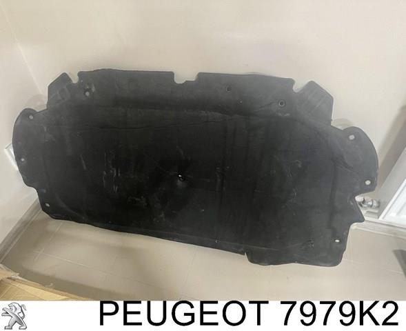 7979K2 Peugeot/Citroen isolamento de ruído da capota