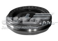 Купить 015311301AA Chery 