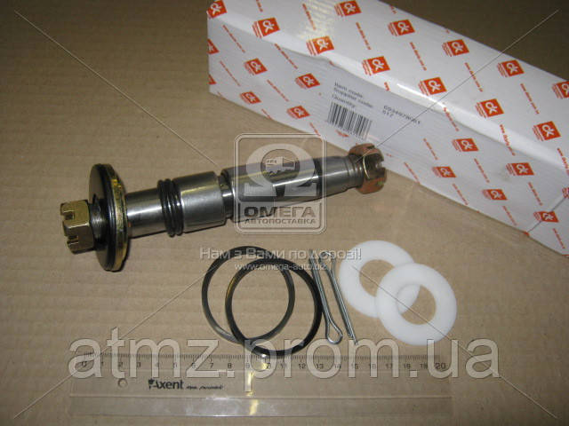 Купить 22173414103 DK 