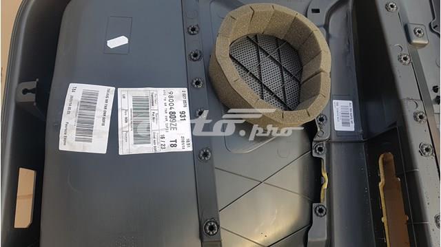 Купить 98004809ZE Peugeot/Citroen 