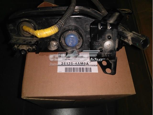 261354AM0A Nissan/Infiniti 
