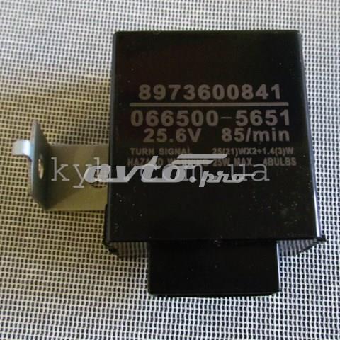  8973600841 Isuzu