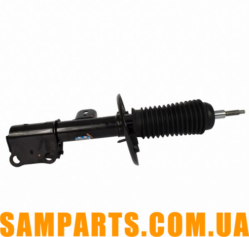 RS012268 Raiso Амортизатор передний левый