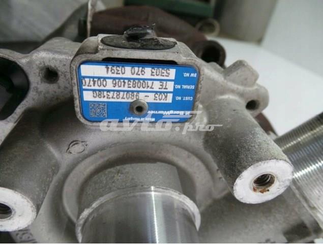 Турбина 53039700394 Borg-Warner