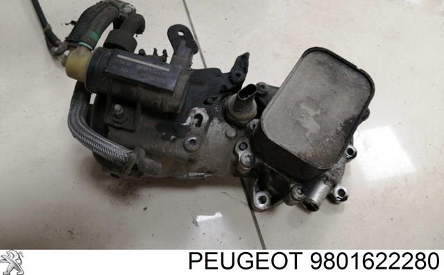 9801622280 Peugeot/Citroen Корпус маслофильтра