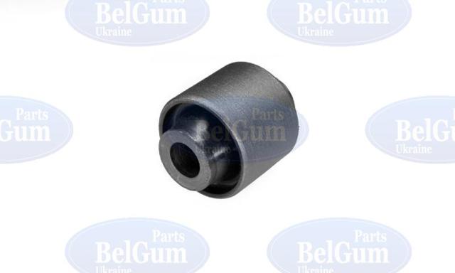 BG0403 Belgum 