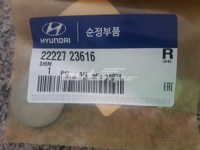  2222723616 Hyundai/Kia