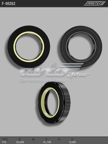  F00262 Emmetec
