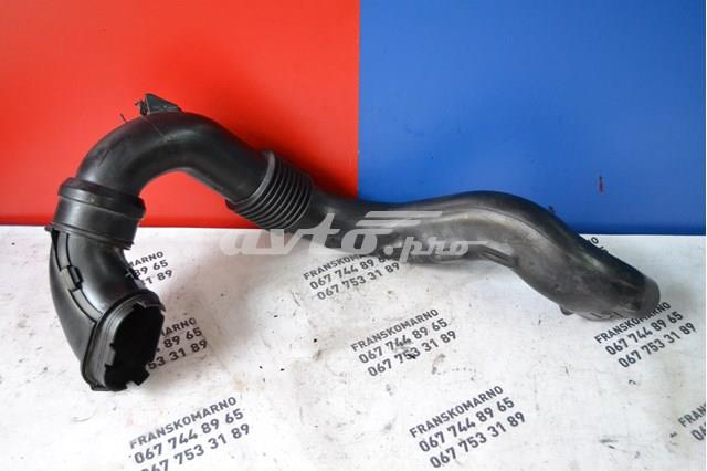 Впускной патрубок воздушного фильтра 165556691R Renault (RVI)