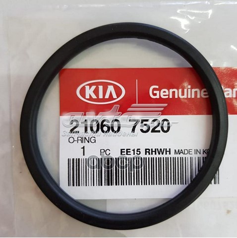  210607520 Hyundai/Kia