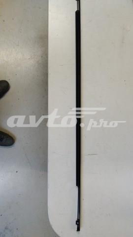 Молдинг опускного стекла двери задней правой Nissan/Infiniti 82820CL80A цена, от 116.84 USD