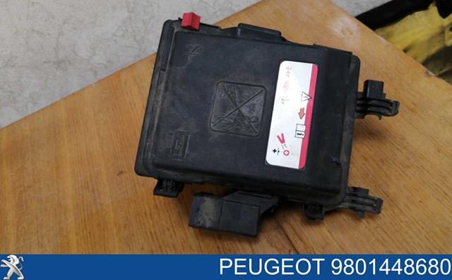 Купить 9801448680 Peugeot/Citroen Крышка блока предохранителей
