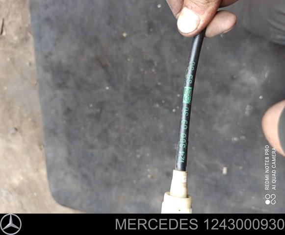 1243000930 Mercedes 