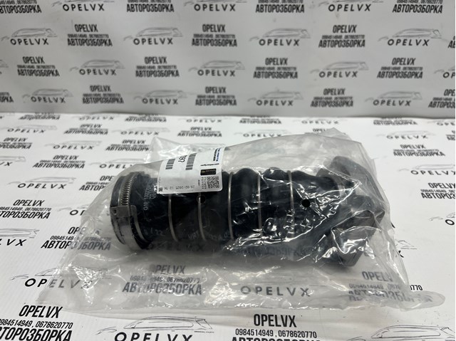 825671 GM Tubo flexible de aspiración, cuerpo mariposa original y equivalente