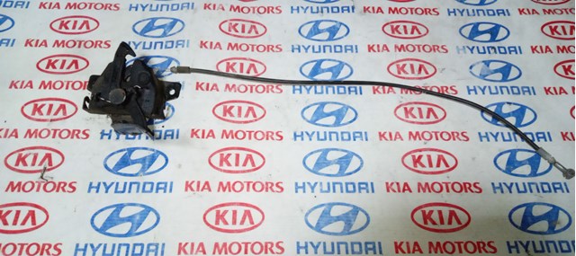 Fecho da capota 811302E000 Hyundai/Kia