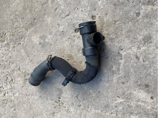 8E0121055F VAG Manguera refrigerante para radiador inferiora original y equivalente