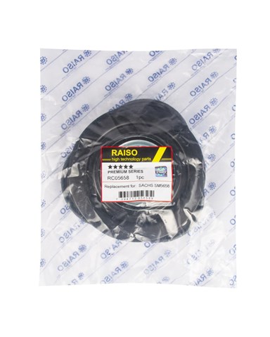 Опора передней стойки Raiso RC05658