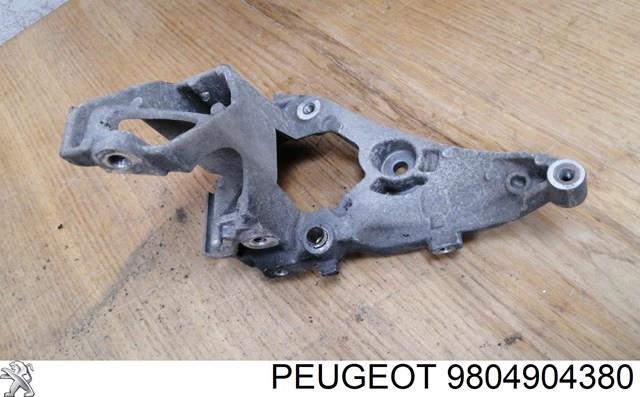  9804904380 Peugeot/Citroen