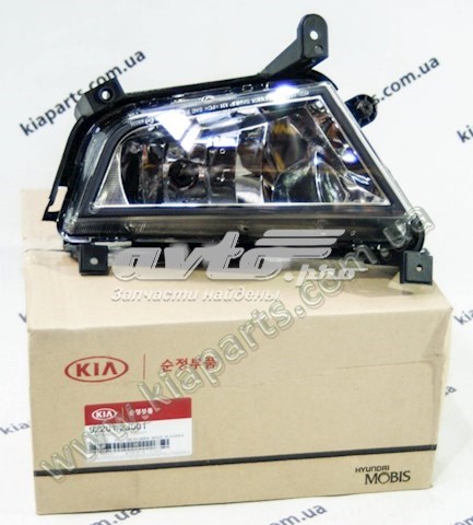 Фара противотуманная, левая Hyundai/Kia 922012J001 цена, от 143.83 USD