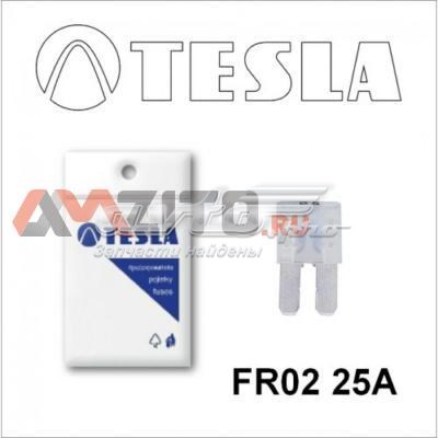  Tesla FR225A