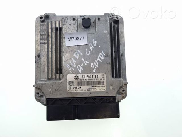  03L906019B VAG