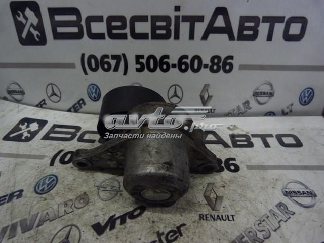 Натяжитель приводного ремня 8200941079 Renault (RVI)