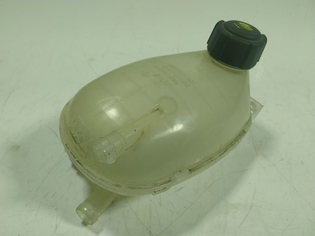  Расширительный бачок Renault (RVI) 217102572R