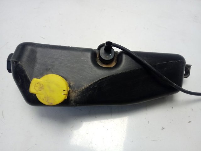  289107187R Renault (RVI)