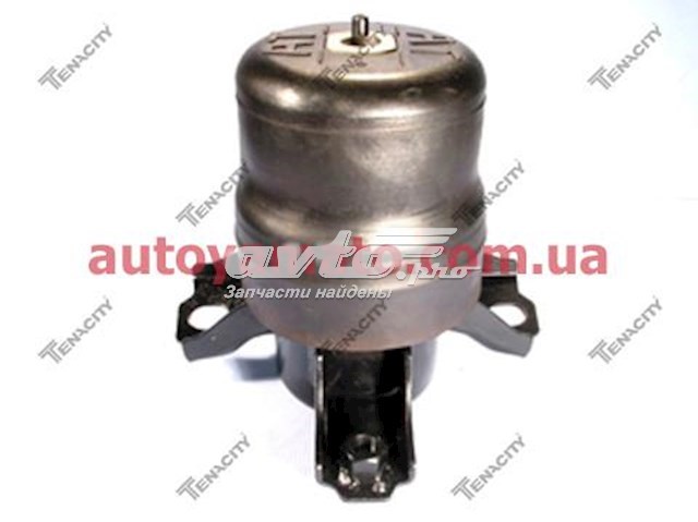  Tenacity AWSTO1021 цена, от 22.69 USD