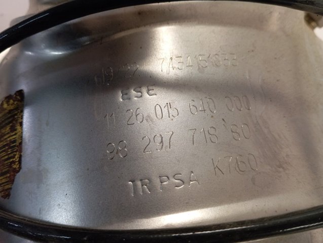 9829771880 Peugeot/Citroen 