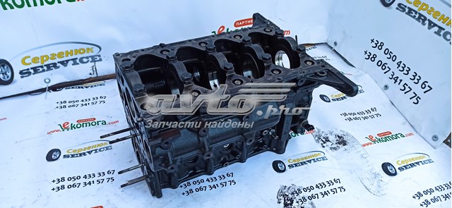 11009VC100 Nissan блок цилиндров двигателя